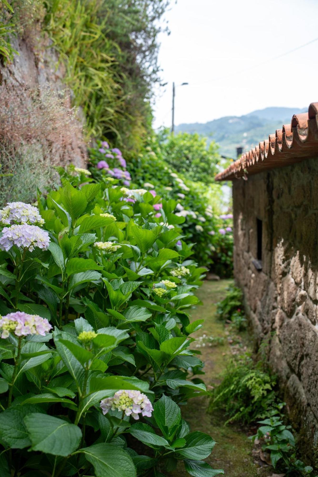 Casa Da Torre, Porto Manso Vila Ribadouro Exterior foto