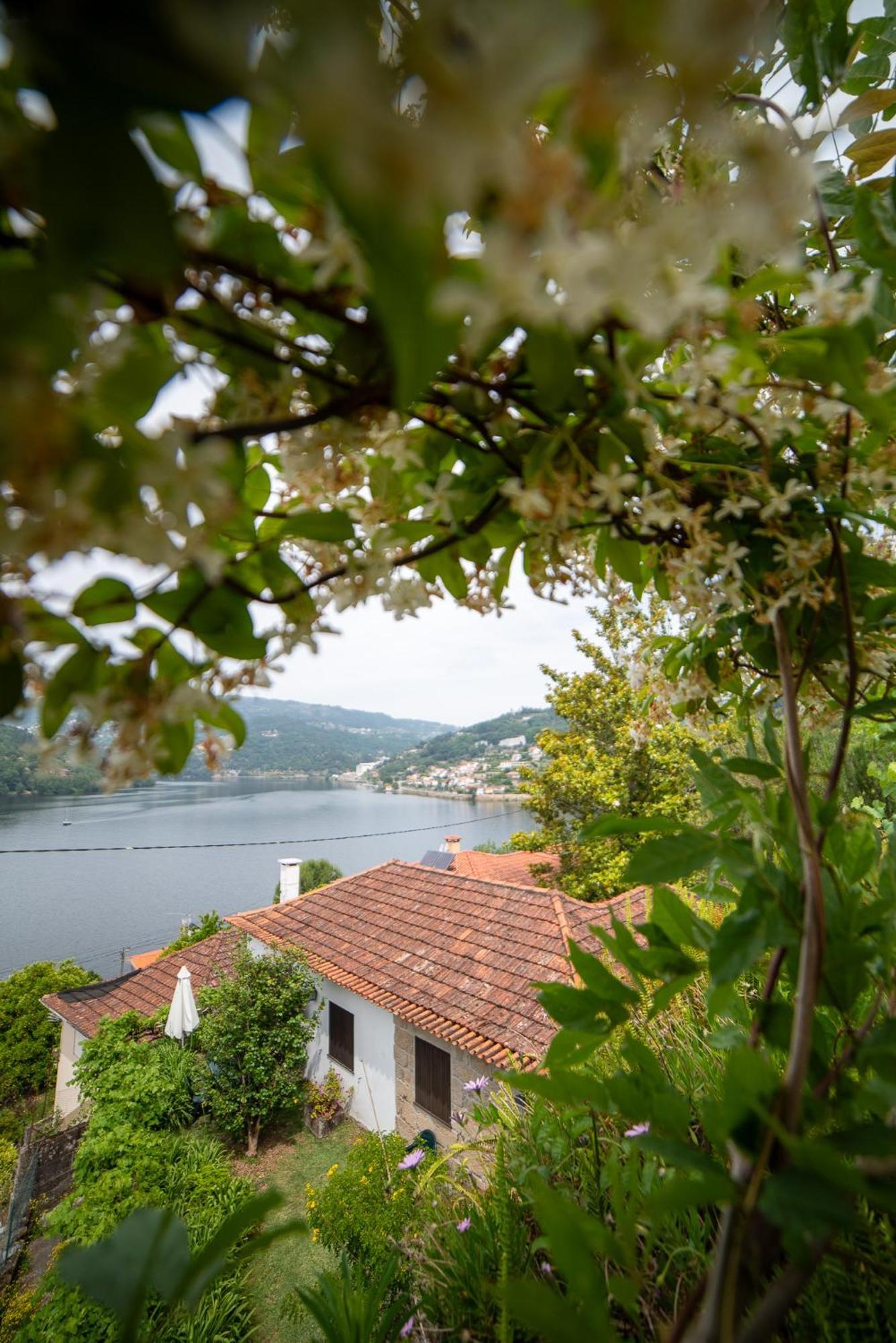 Casa Da Torre, Porto Manso Vila Ribadouro Exterior foto